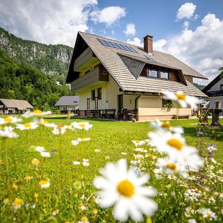 Apartments Darinka Mencinger Bohinj Buitenkant foto